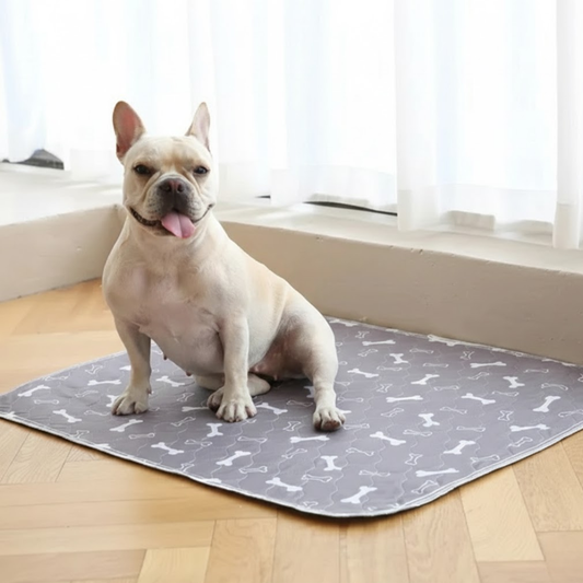 Tapete Inteligente Para Perros – Absorbe Olores y Líquidos