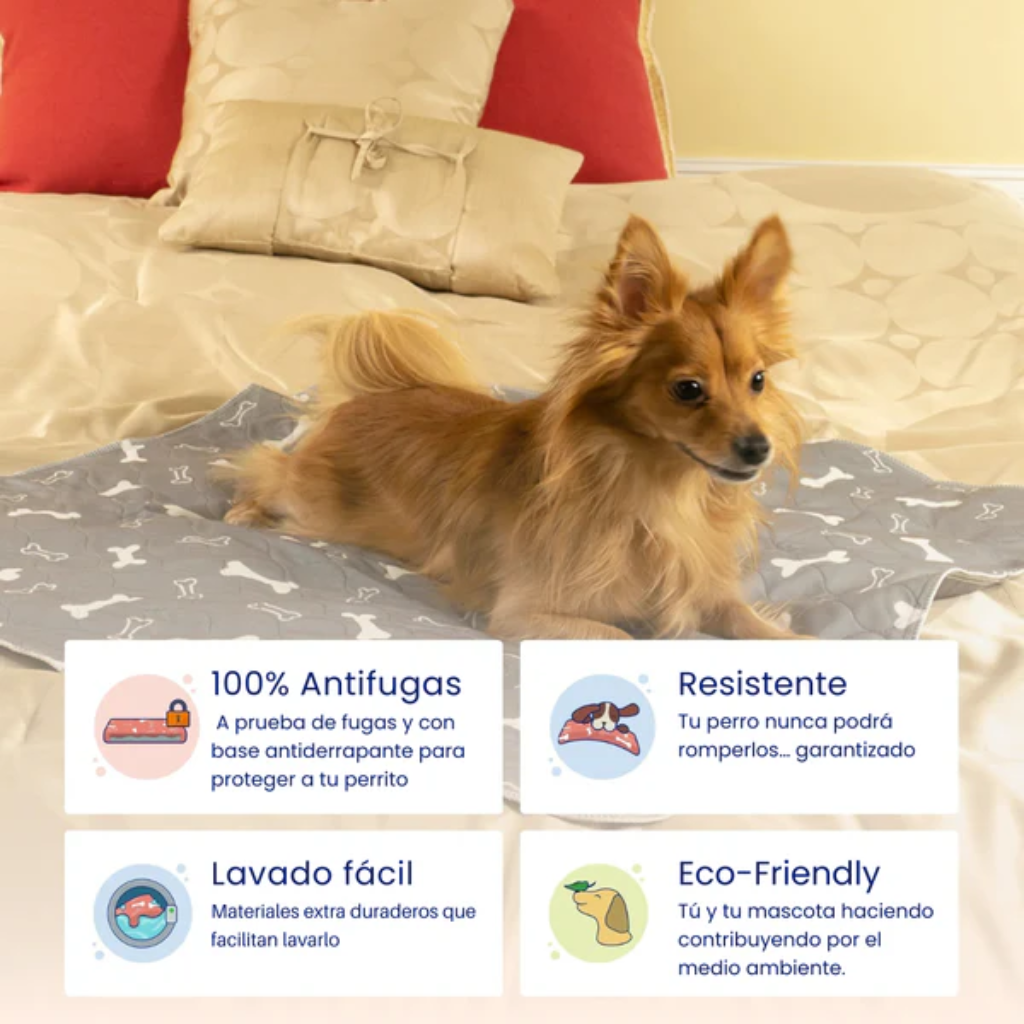 Tapete Inteligente Para Perros – Absorbe Olores y Líquidos
