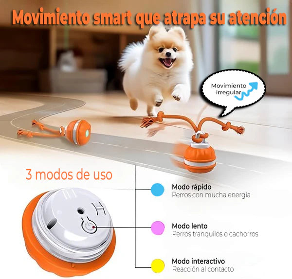 Pelota Inteligente Para Mascotas