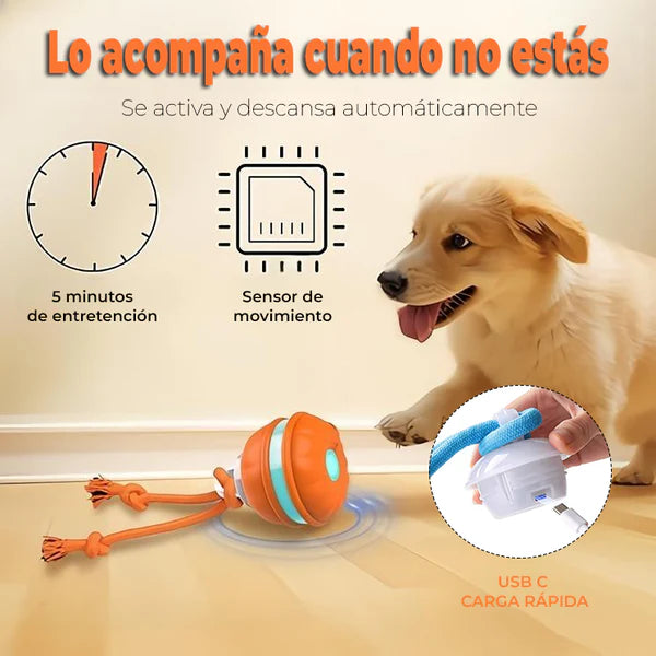 Pelota Inteligente Para Mascotas