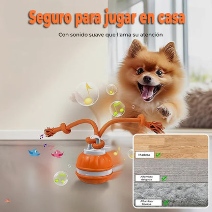 Pelota Inteligente Para Mascotas