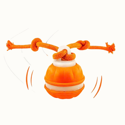 Pelota Inteligente Para Mascotas